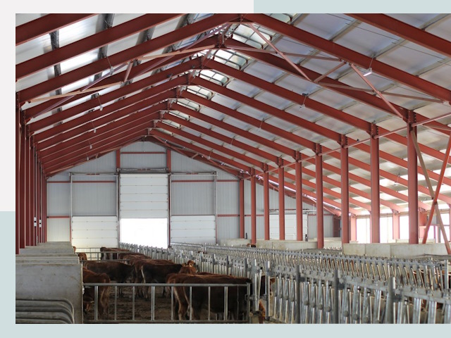 Строительство коровников в Реутове