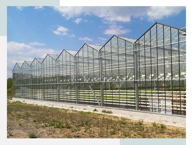 Строительство теплиц в Реутов от 624 руб. за м²