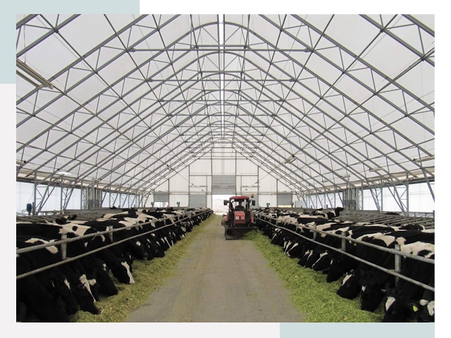 Тентовые коровники в Реутове от 624 руб. - Надежно и доступно